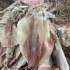 Mực Khô Đà Nẵng Size 18 –20 Con/kg | Mực Khô Câu Biển Ngon Nhất