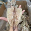Mực Khô Đà Nẵng Size 25 – 30 Con/kg | Đặc Sản Biển Quảng Nam Phơi Nắng