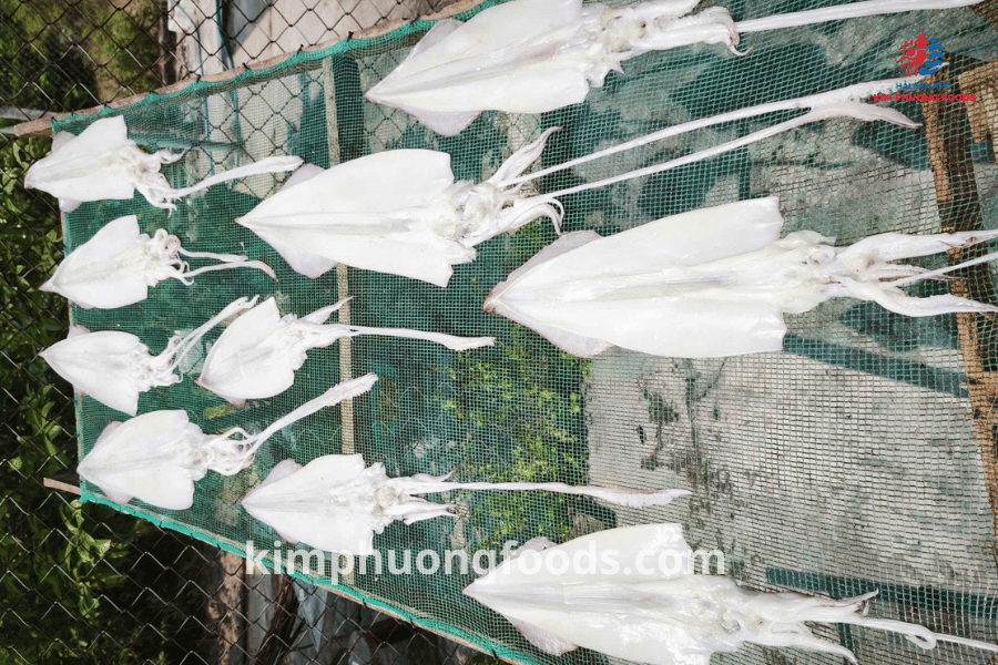 Mực khô Đà Nẵng size 18-20 con/kg hàng tuyển loại 1- Kim Phương Foods