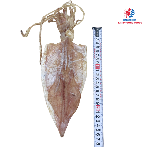 Mực khô câu cao cấp (size 12 - 15 con/kg) | Vị ngọt từ biển khơi, trọn vị cuộc vui 16 muc kho phoi 3 nang size 12 15 con kg