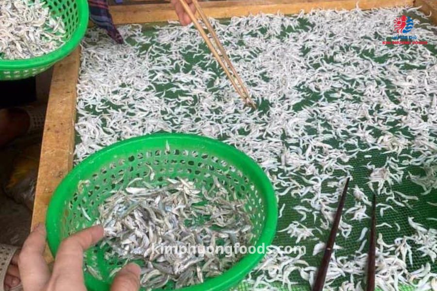 Cá cơm mờm Đà Nẵng – “Hạt ngọc trời” thượng hạng tại Kim Phương Food