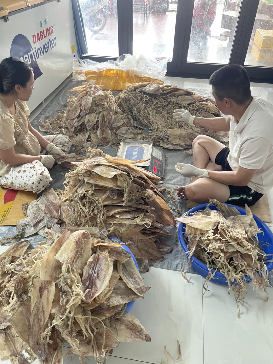 Mua mực khô Hội An ở đâu ngon? Mua mực khô Hội An ở đâu ngon?