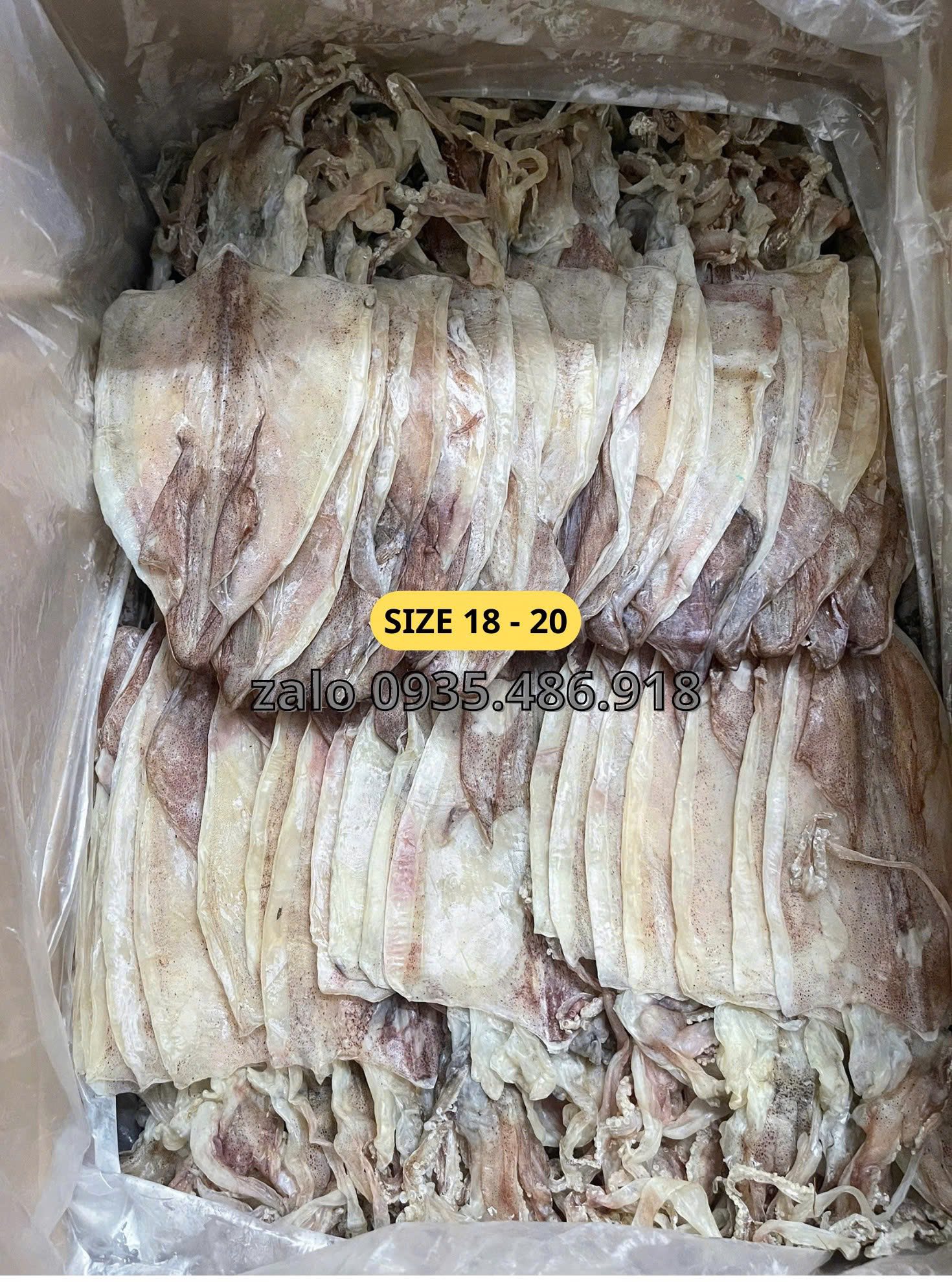 Chuyên Bán Sỉ Mực Khô Hội An Cho Quán Ăn Và Nhà Hàng Chuyên Bán Sỉ Mực Khô Hội An Cho Quán Ăn Và Nhà Hàng