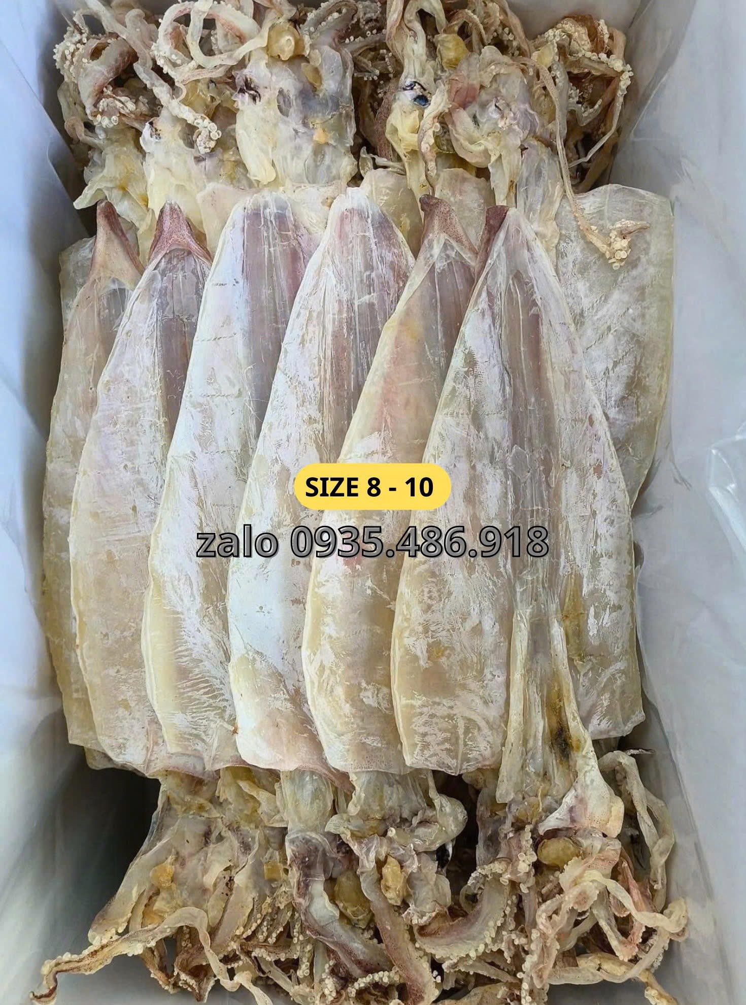 Chuyên Bán Sỉ Mực Khô Hội An Cho Quán Ăn Và Nhà Hàng 7 muc kho gia si hoi an